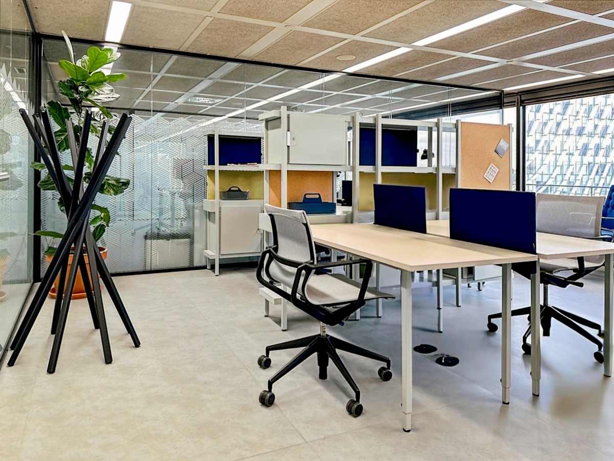Spaces Paseo de la Castellana interior photo 4