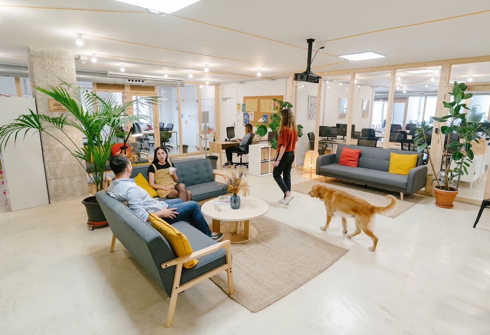 Pet Friendly Flex Offices in Ciutat Vella: Bring Your Dog to Work