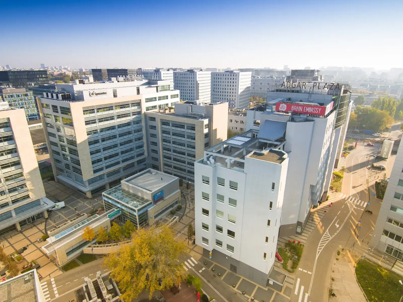 Brain Embassy Postępu