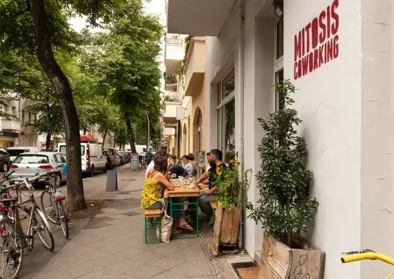 Mitosis interior photo 3