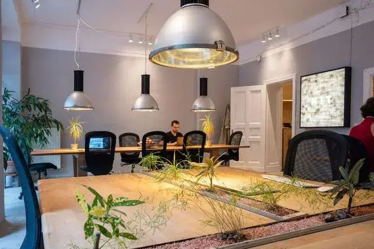 Mitosis interior photo 4