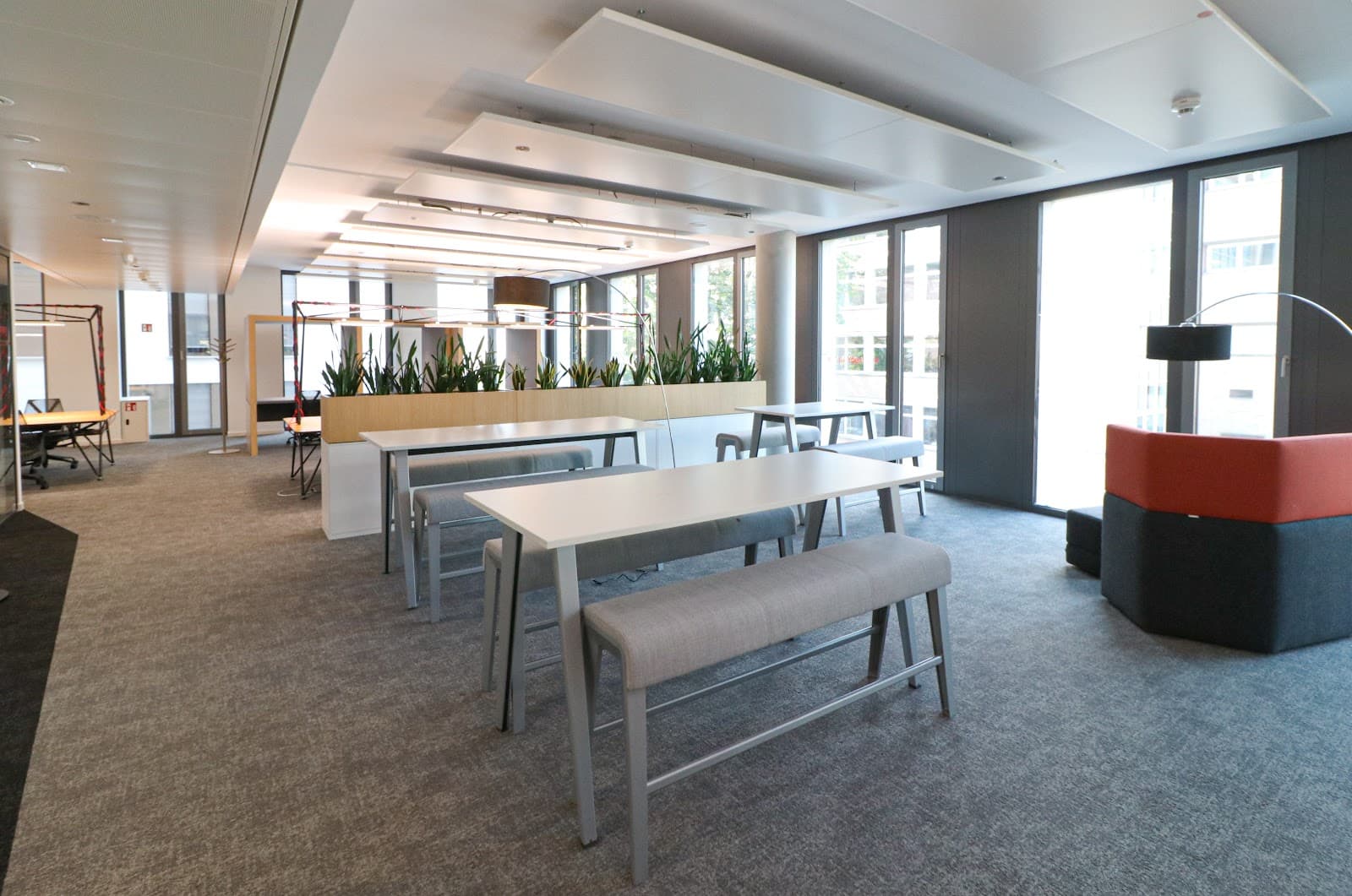 Scaling Spaces - Sono West interior photo 7