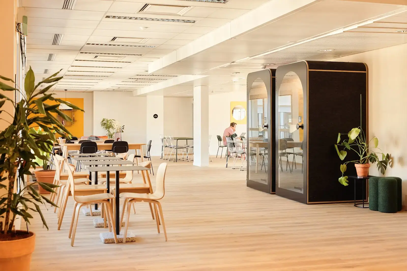 Morning, Sofia interior photo 8