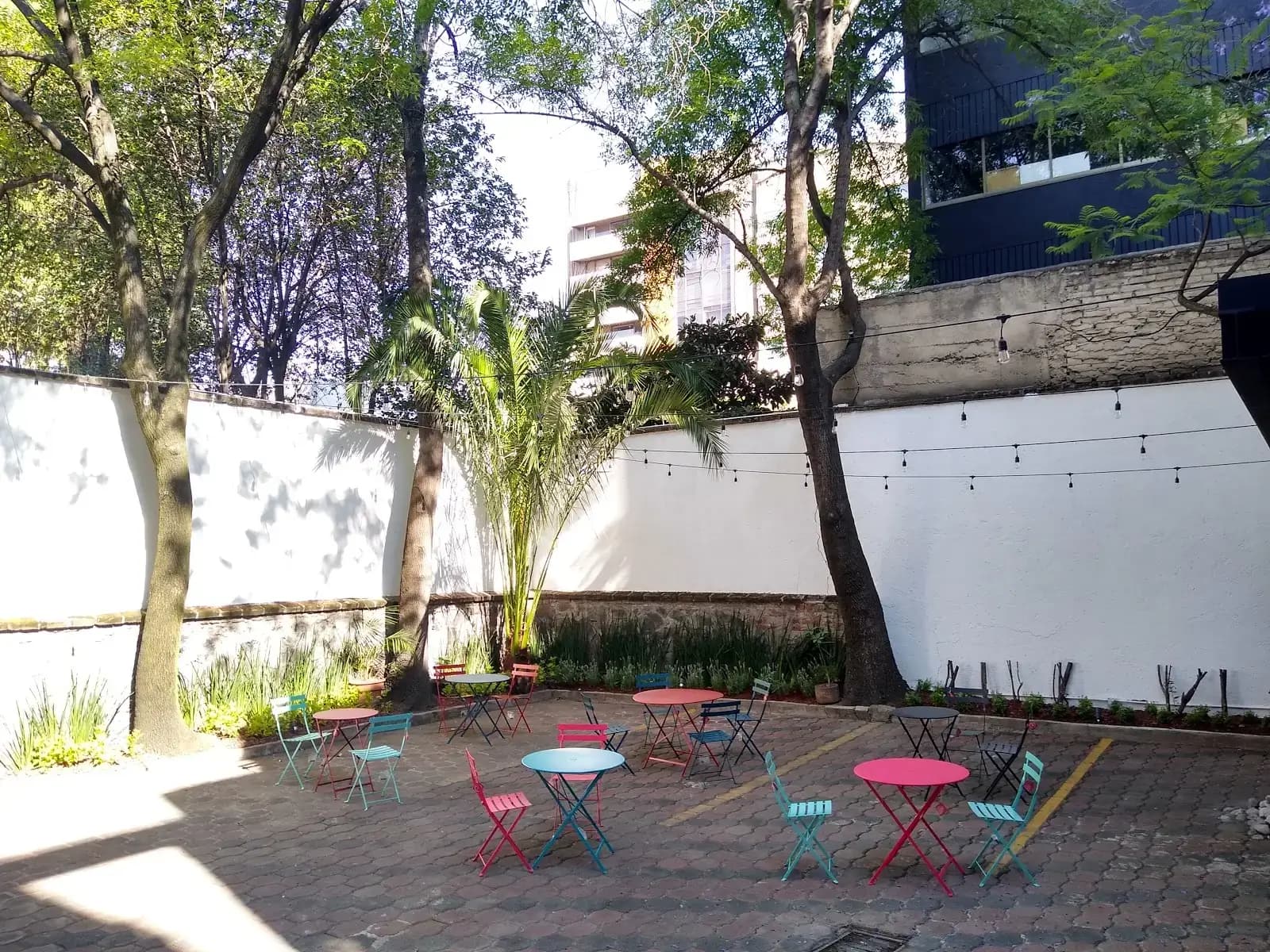 Impact Hub Roma Norte interior photo 9