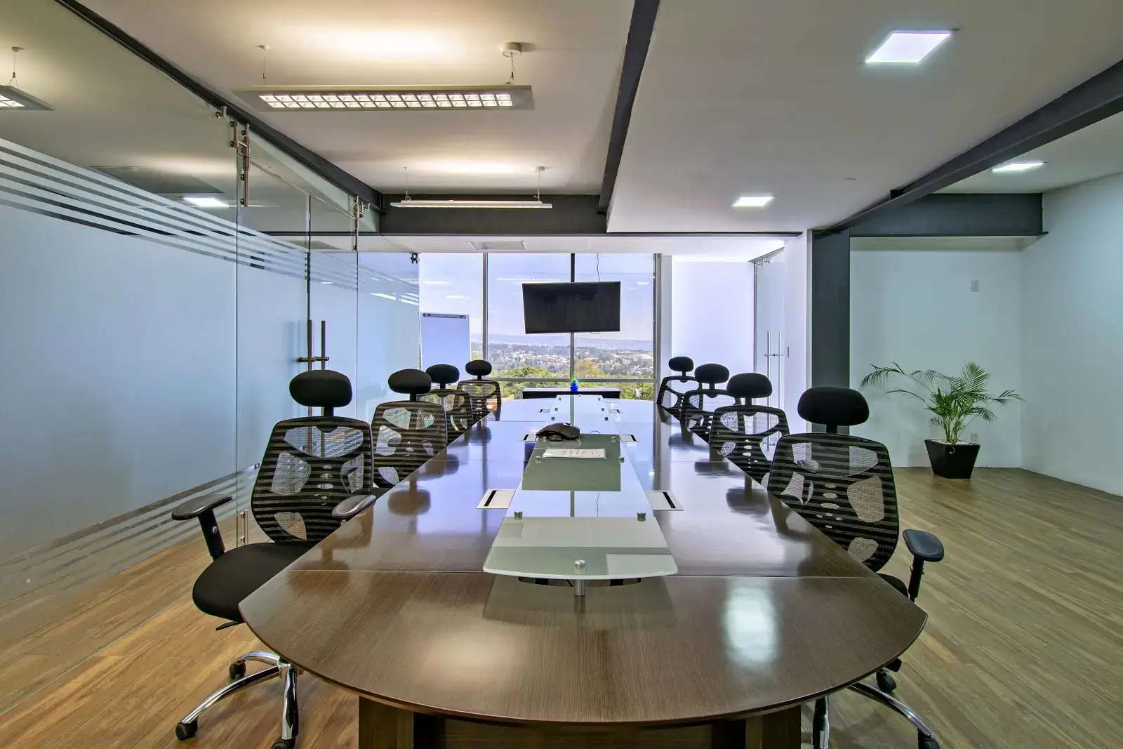 Novo Emerald interior photo 3