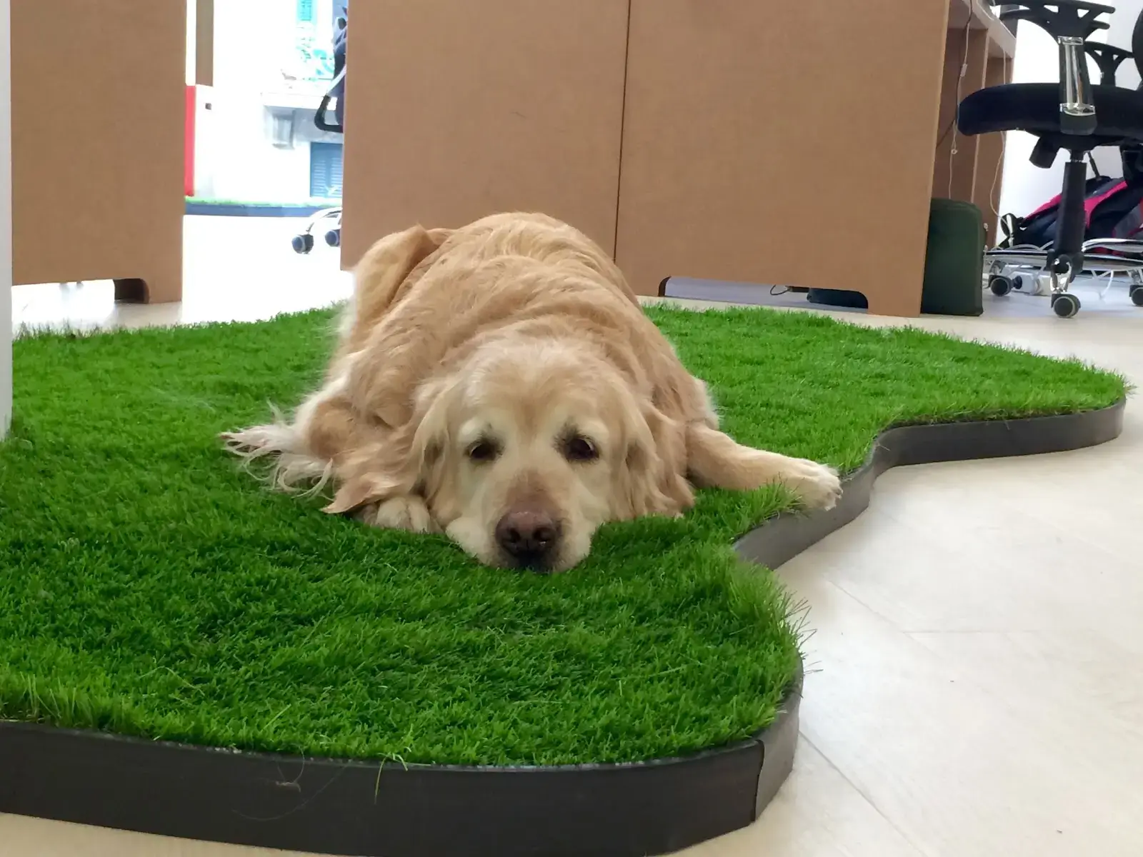 Talent Garden Barcelona interior photo 7