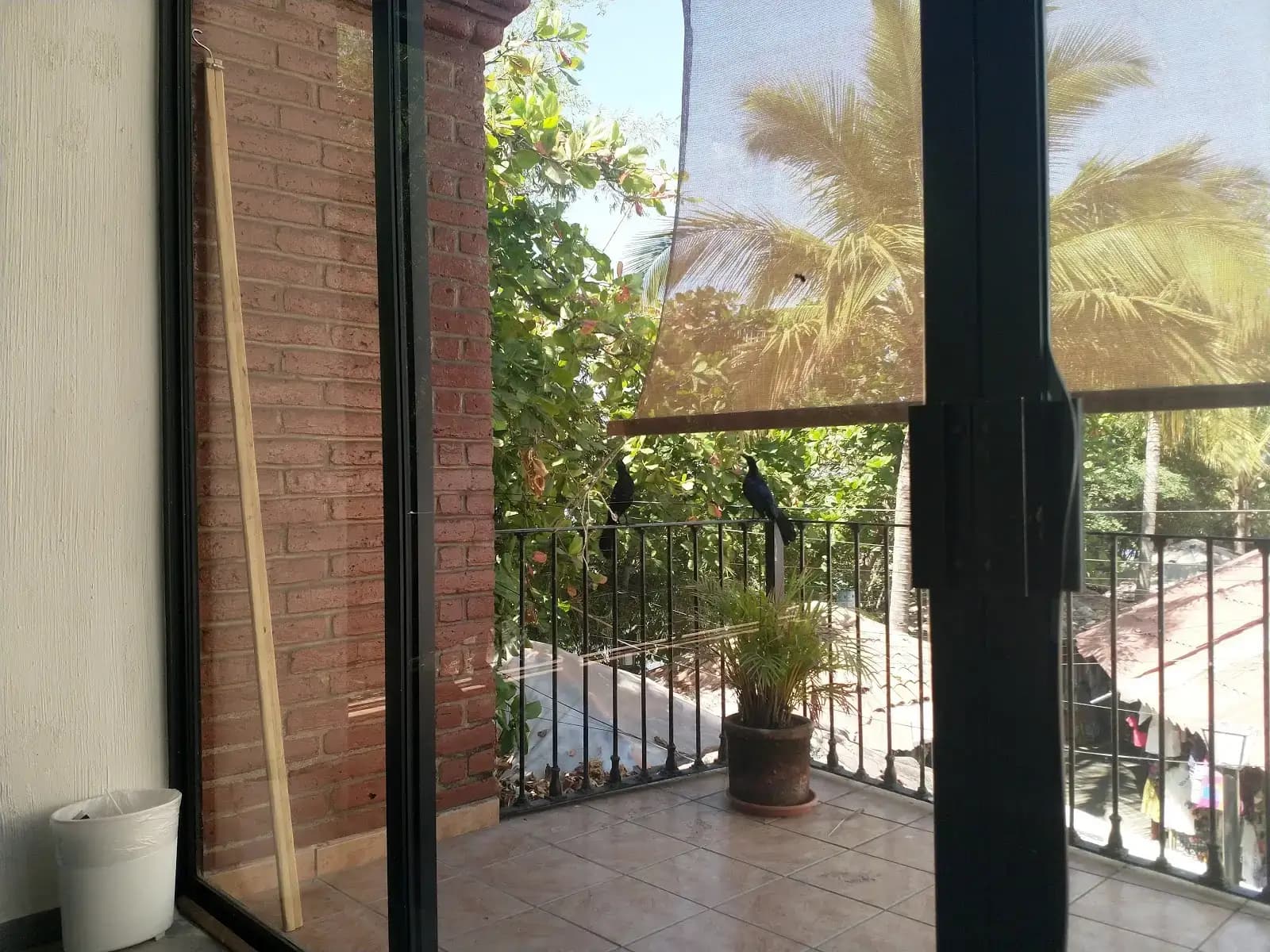 Vallarta CoWork interior photo 2