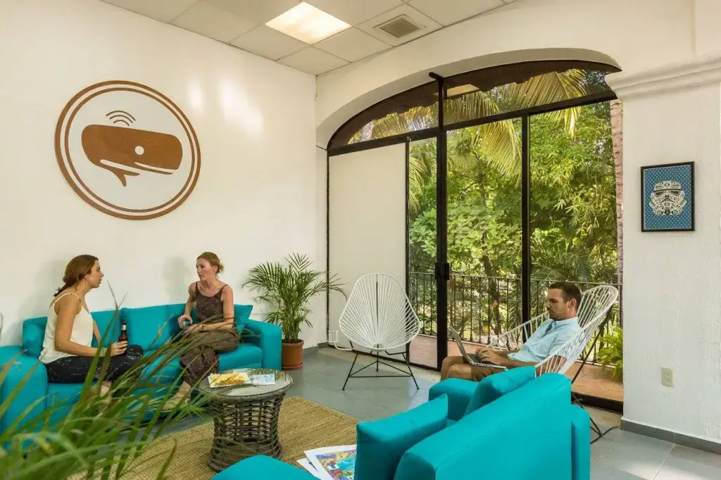 Vallarta CoWork interior photo 8
