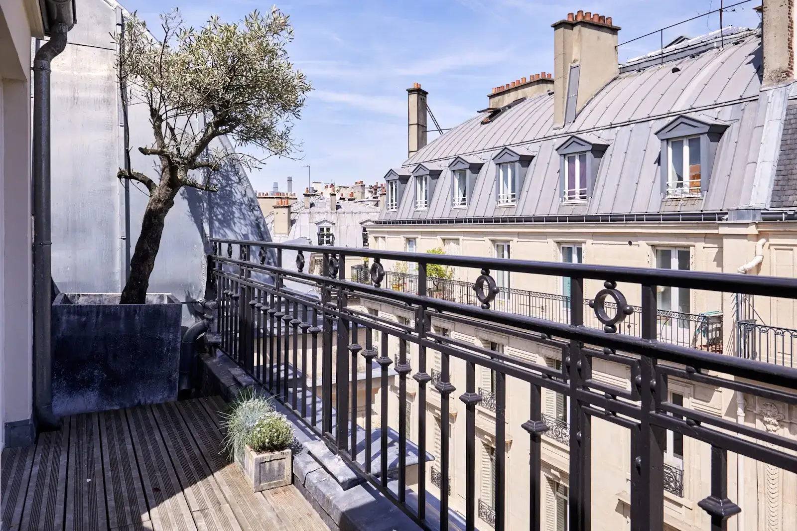 Morning, Vivienne interior photo 7