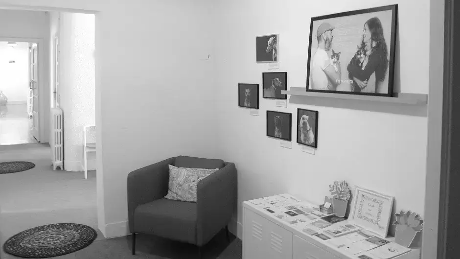 Espacio Arroelo interior photo 13