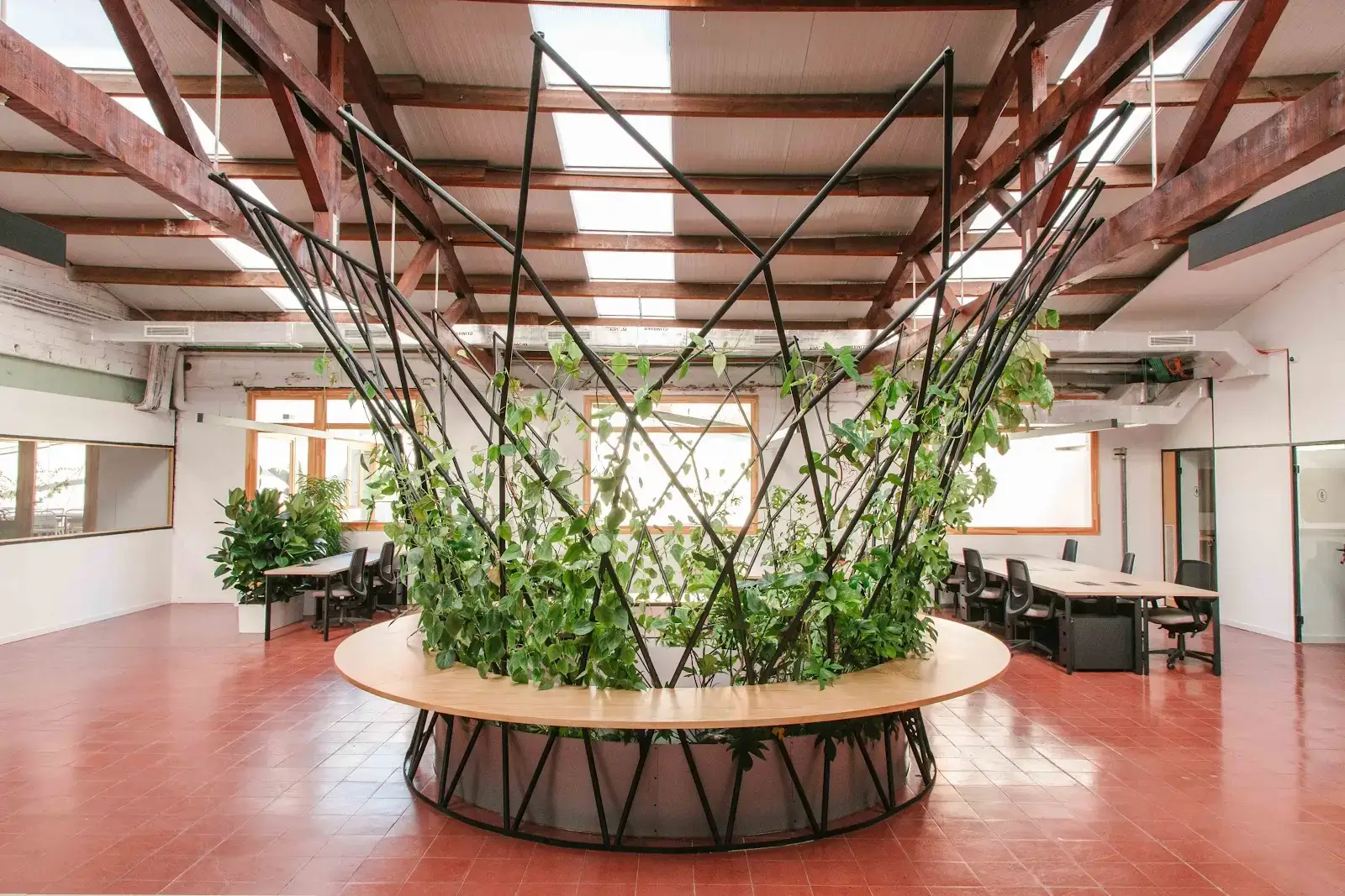 Manglar interior photo 2