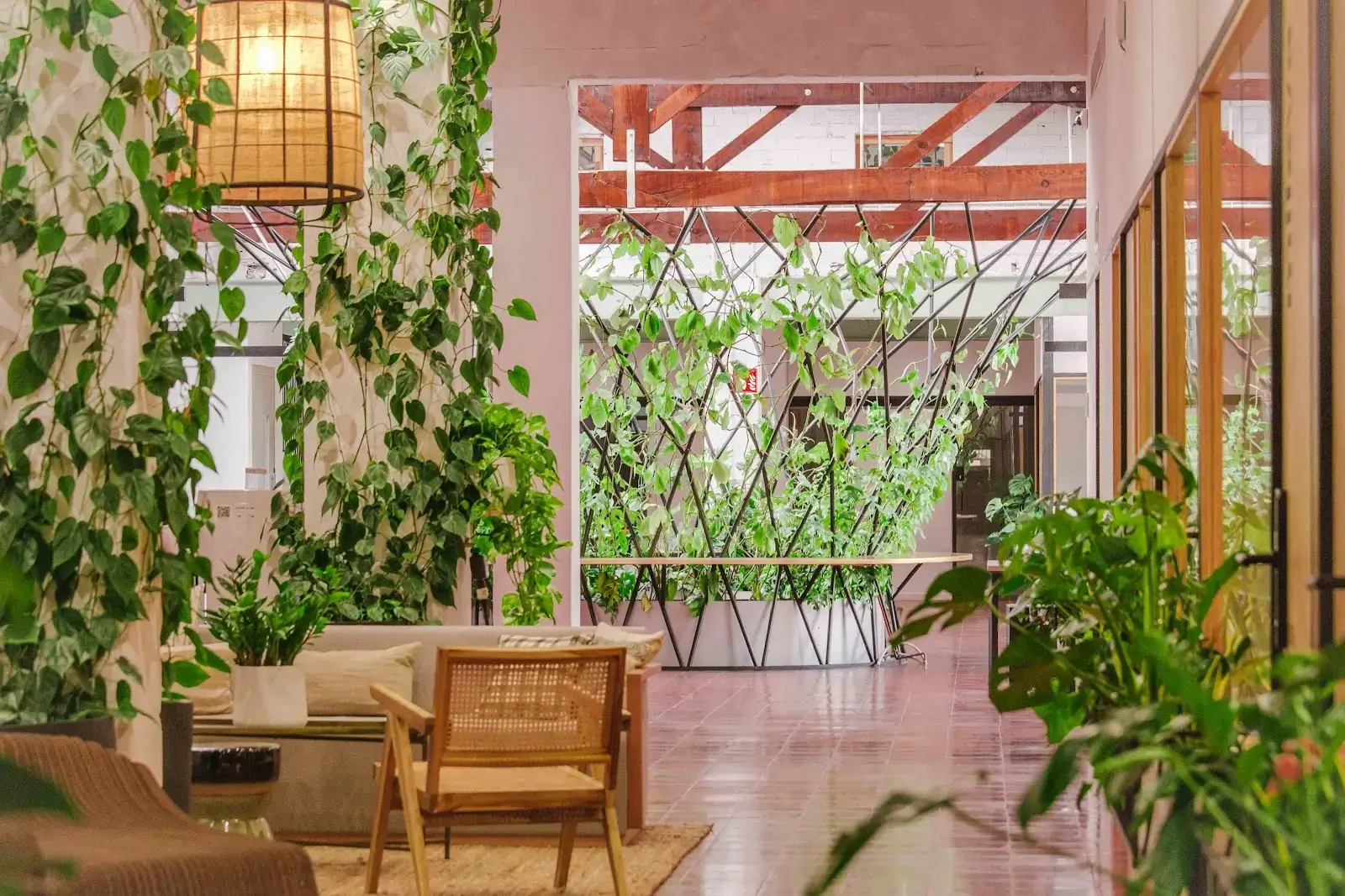 Manglar interior photo 5