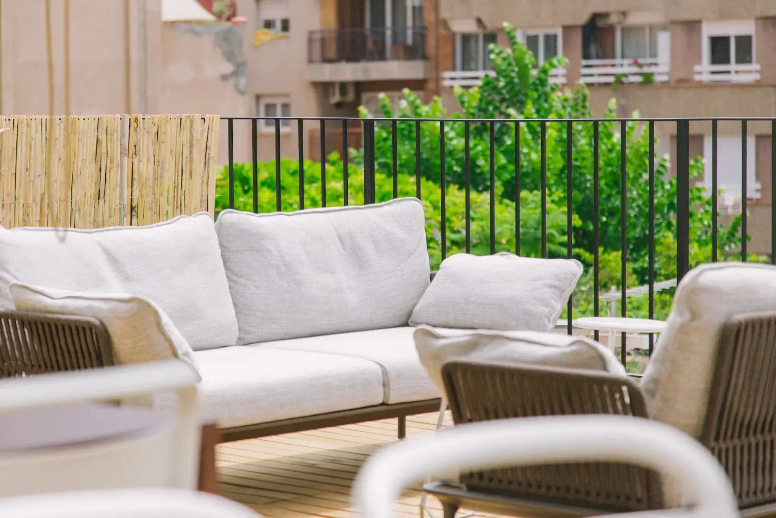 Manglar interior photo 6