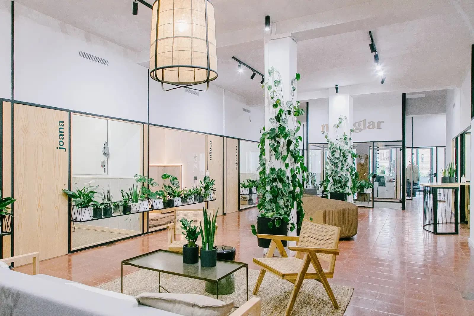 Manglar interior photo 9