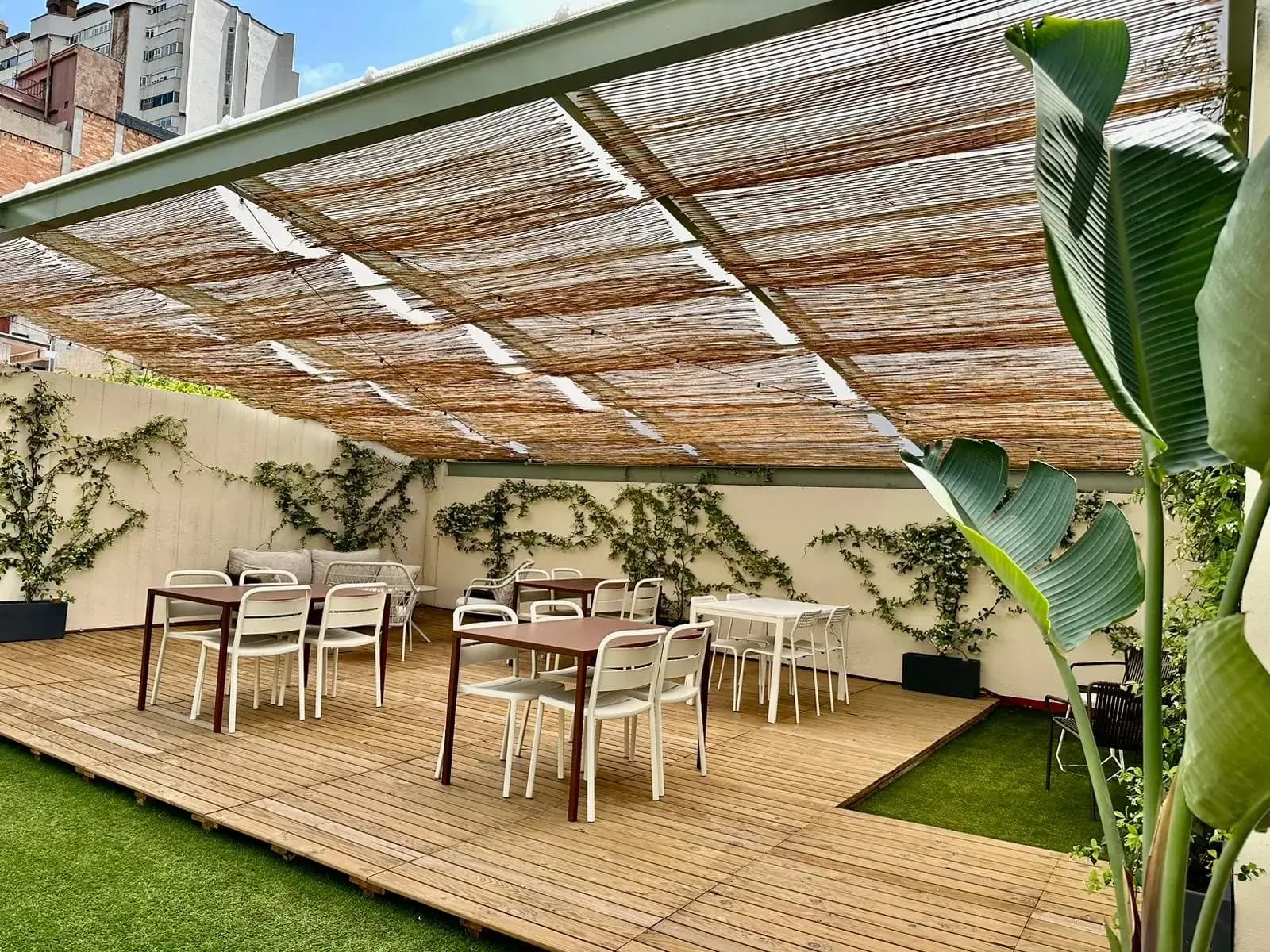 Manglar interior photo 11