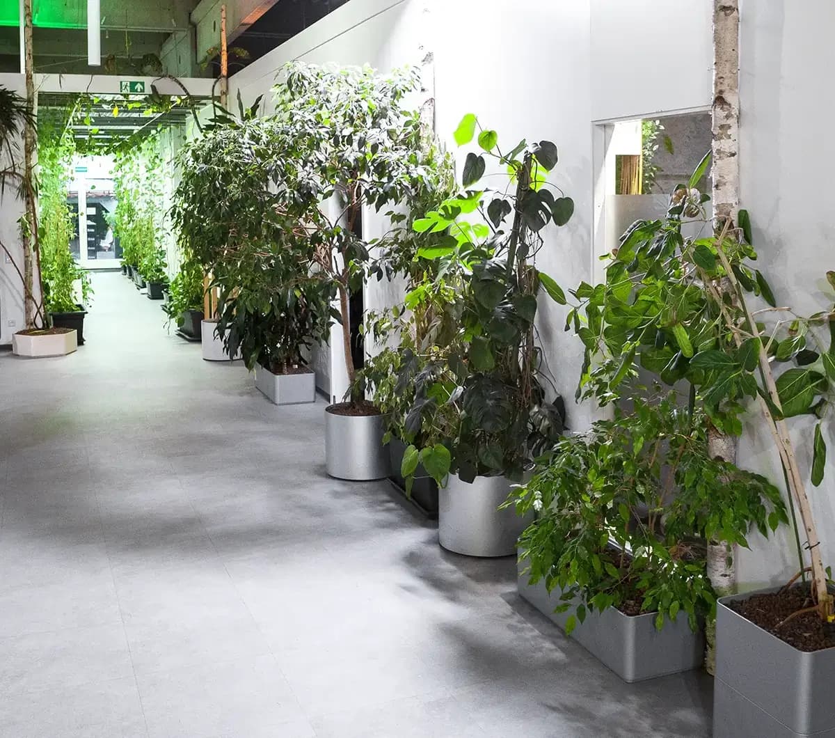 EduRent Regensburg West interior photo 9