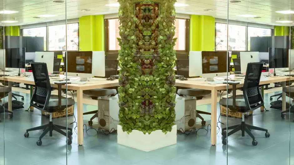 Coworking Madrid Glue Work interior photo 7