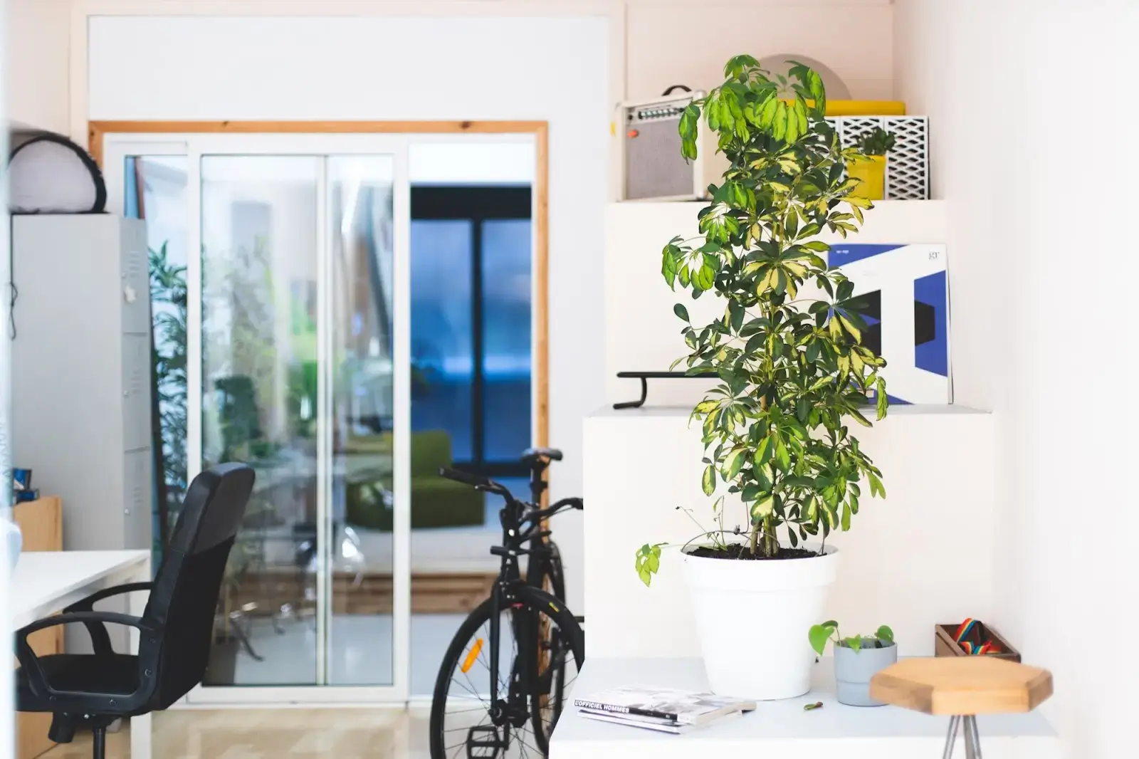 MAUI Beach Coworking interior photo 6