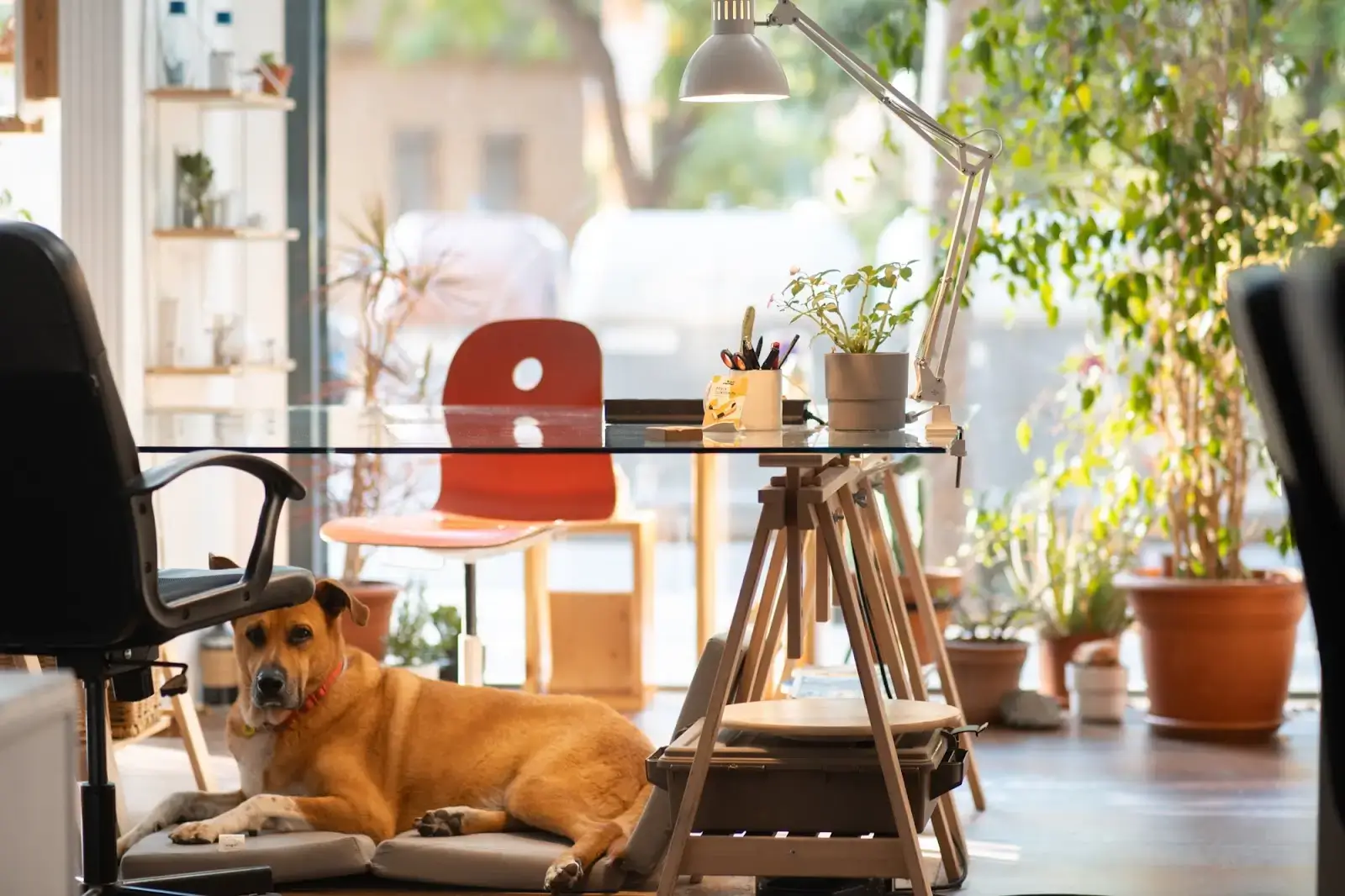 MAUI Beach Coworking interior photo 7