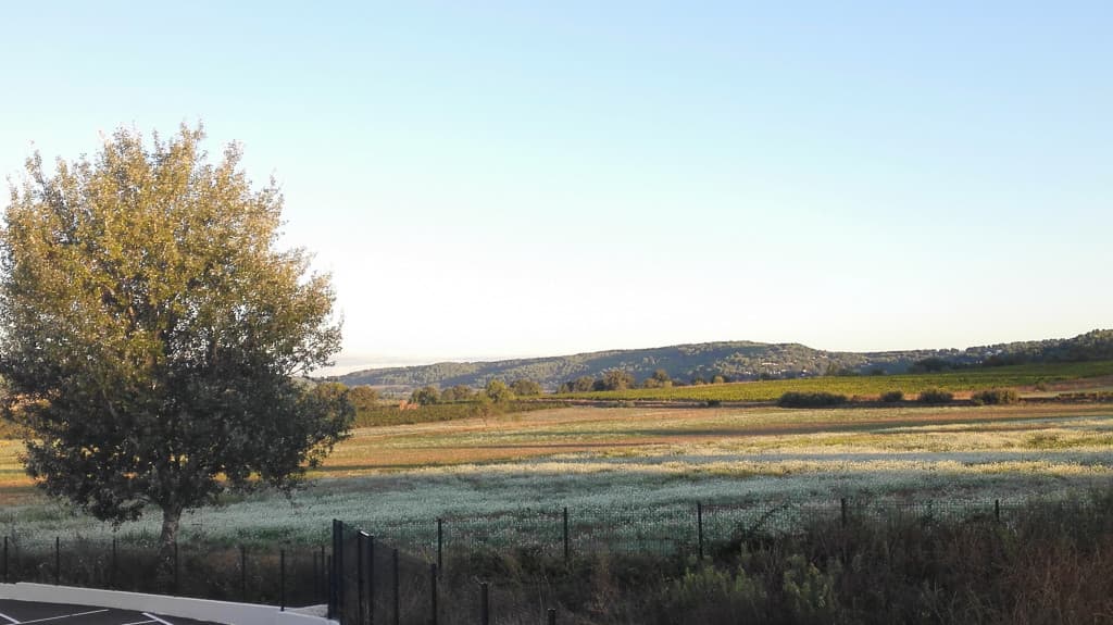 Morphoburo interior photo 2