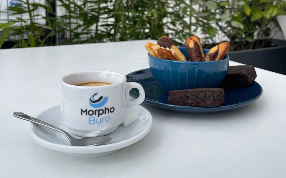 Morphoburo interior photo 3