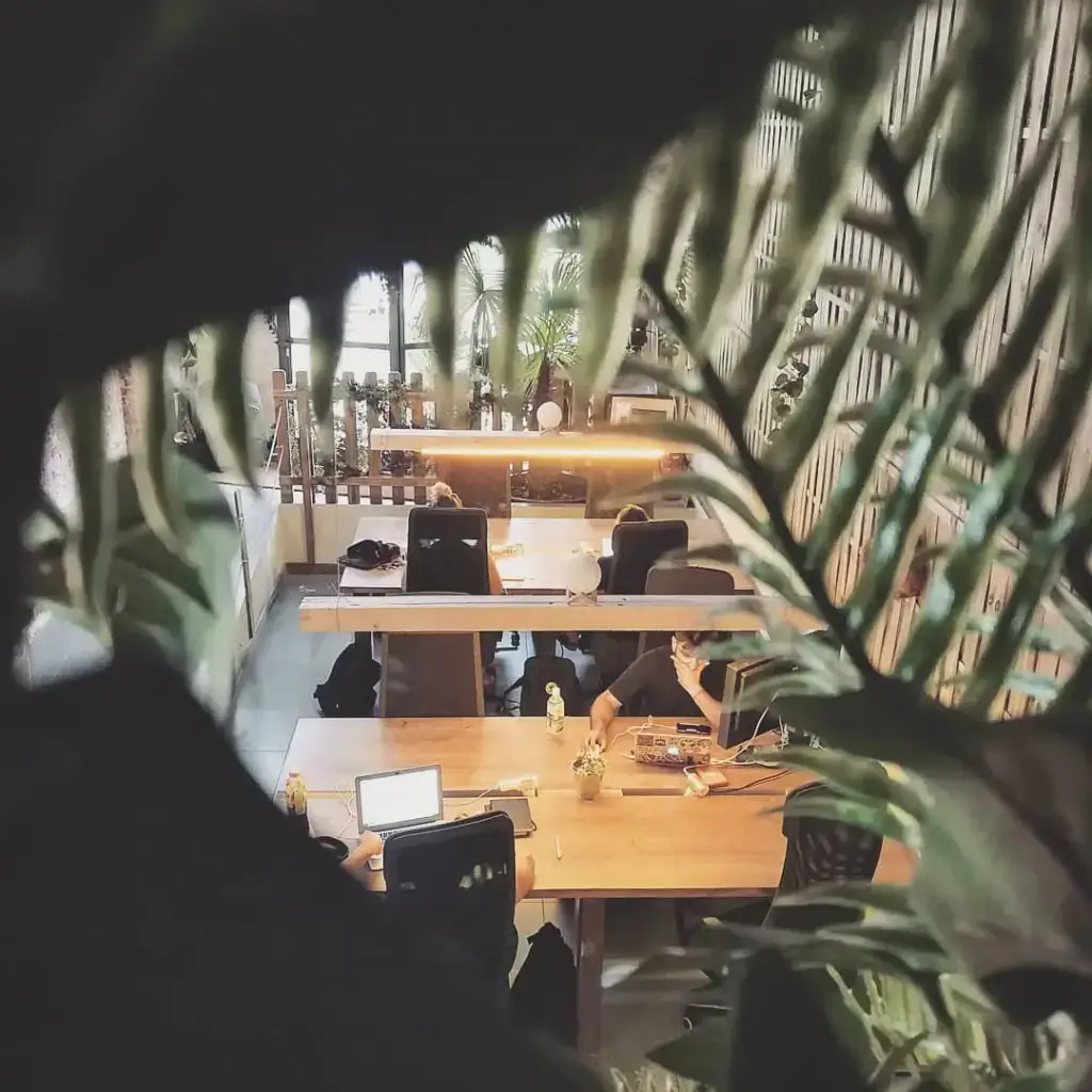JUNGLE . coworking interior photo 2