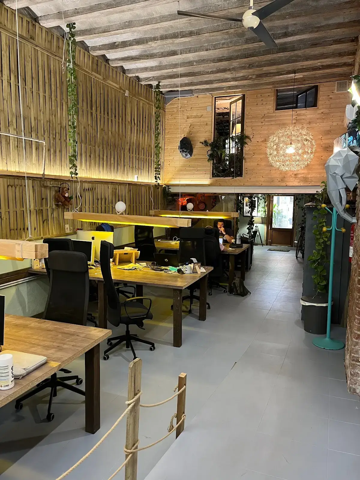 JUNGLE . coworking interior photo 13