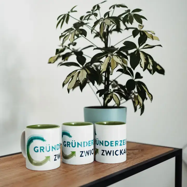 Gründerzeit Zwickau interior photo 8