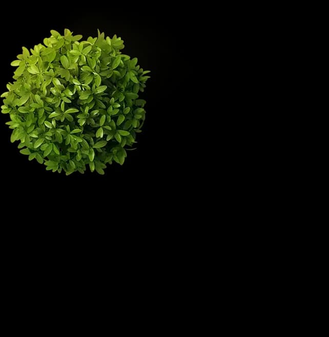 Wood Work Coworking Almeria interior photo 8