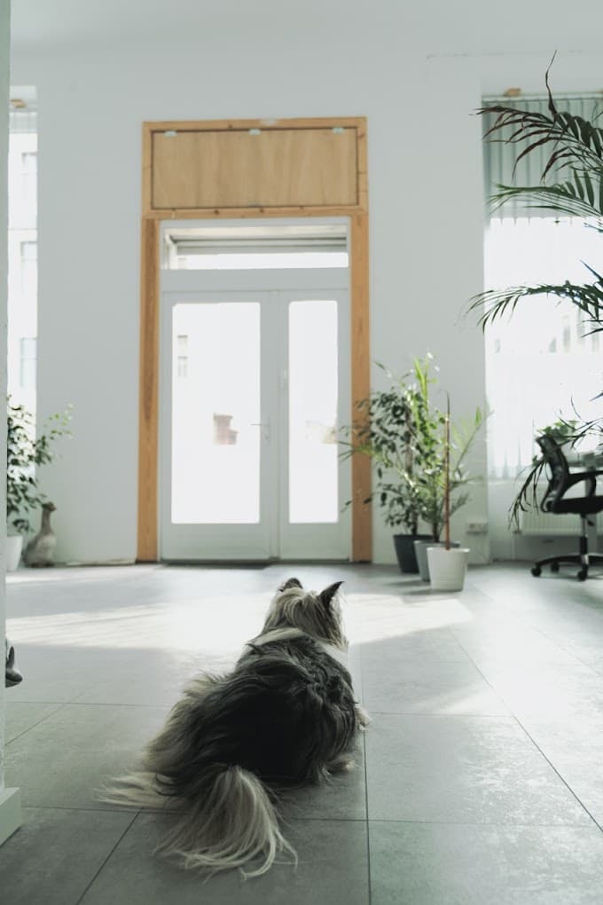 P3A coworking interior photo 4