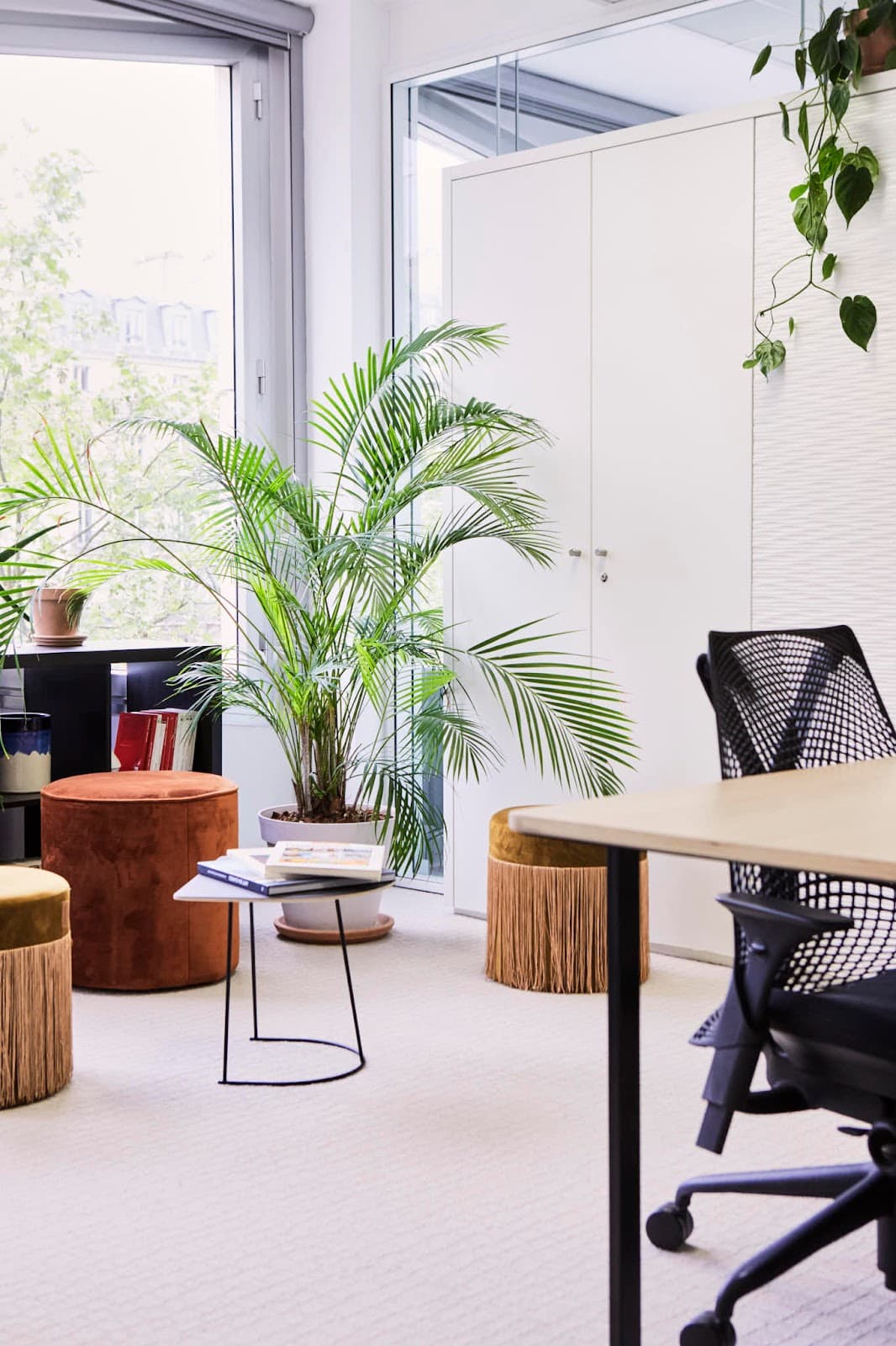 Morning, Argentine interior photo 5