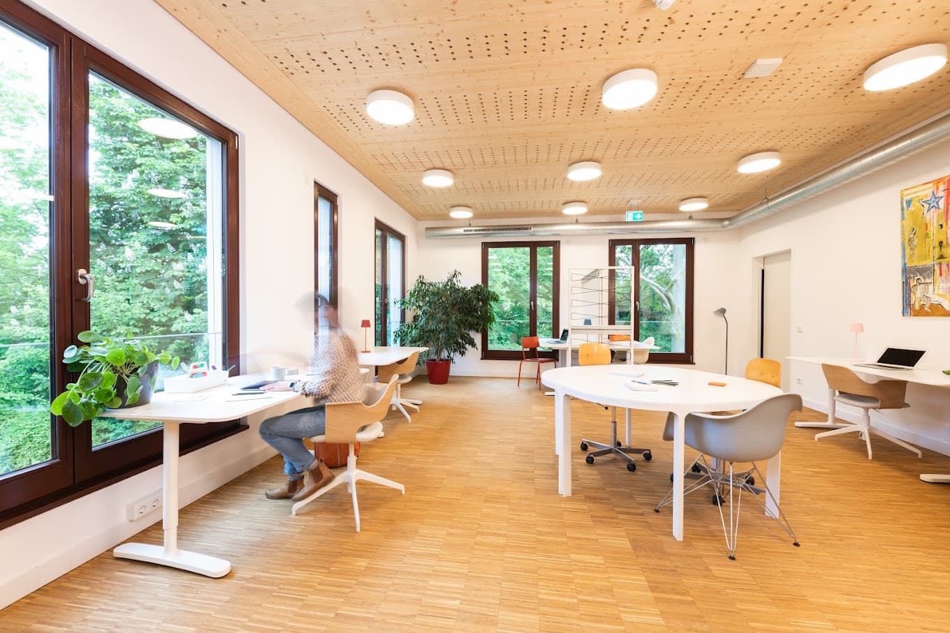 kiwifalter interior photo 2