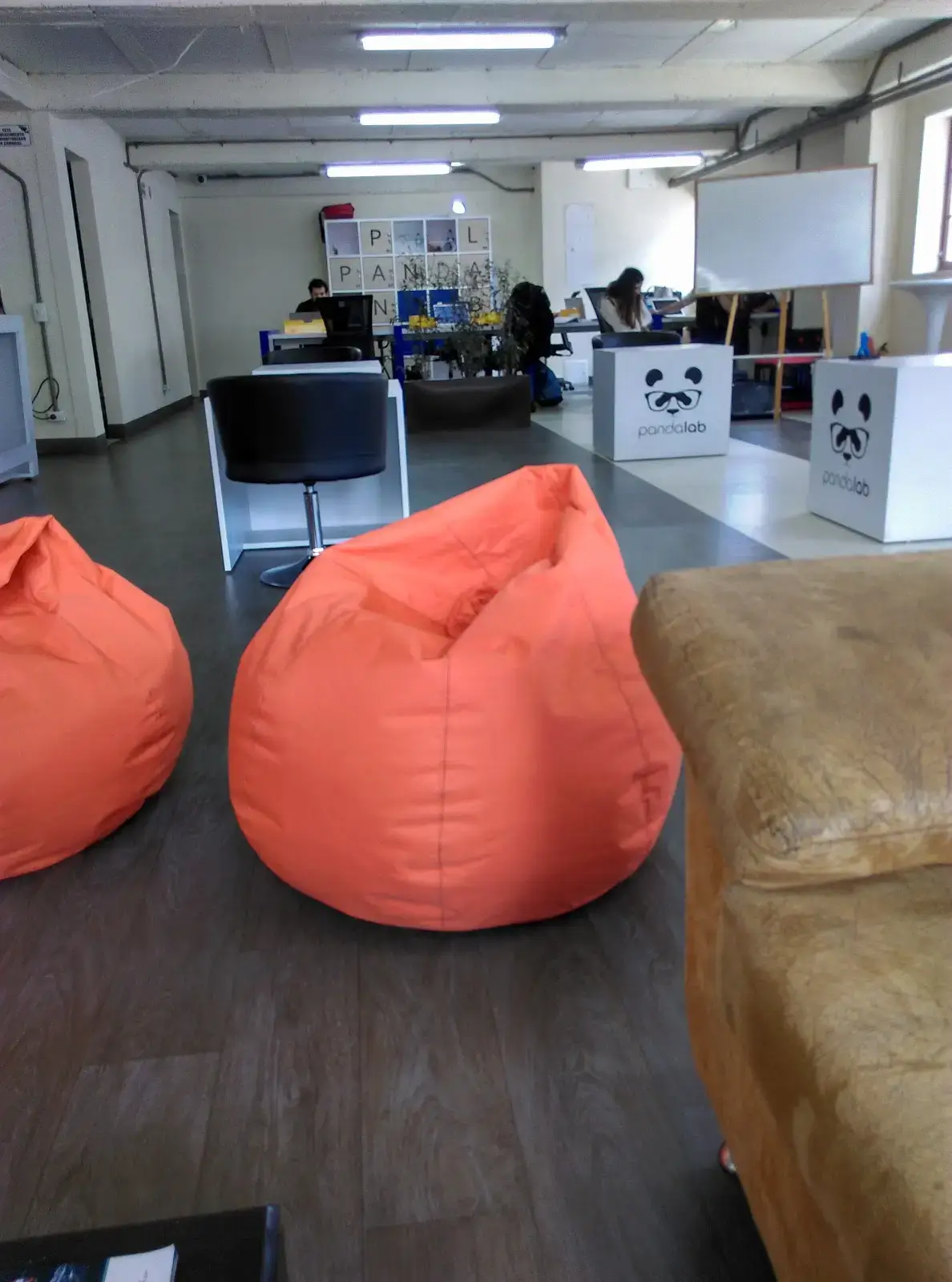 Panda Lab interior photo 2