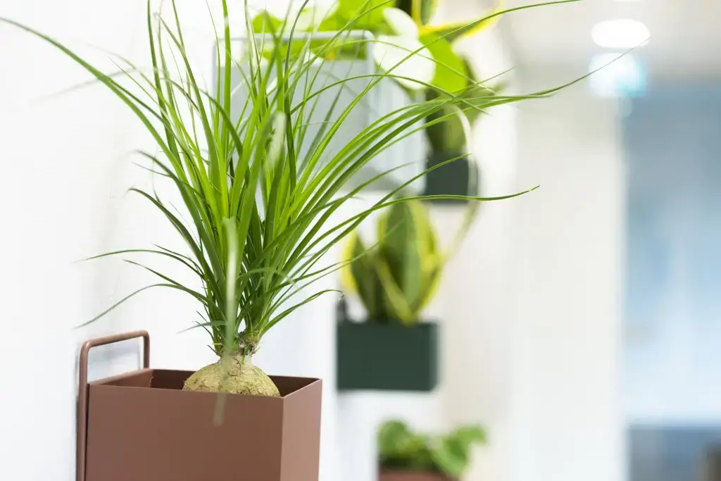 StartDock Westplein interior photo 4