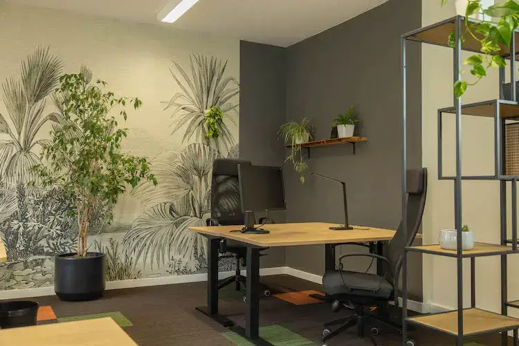 Studio Delta interior photo 10