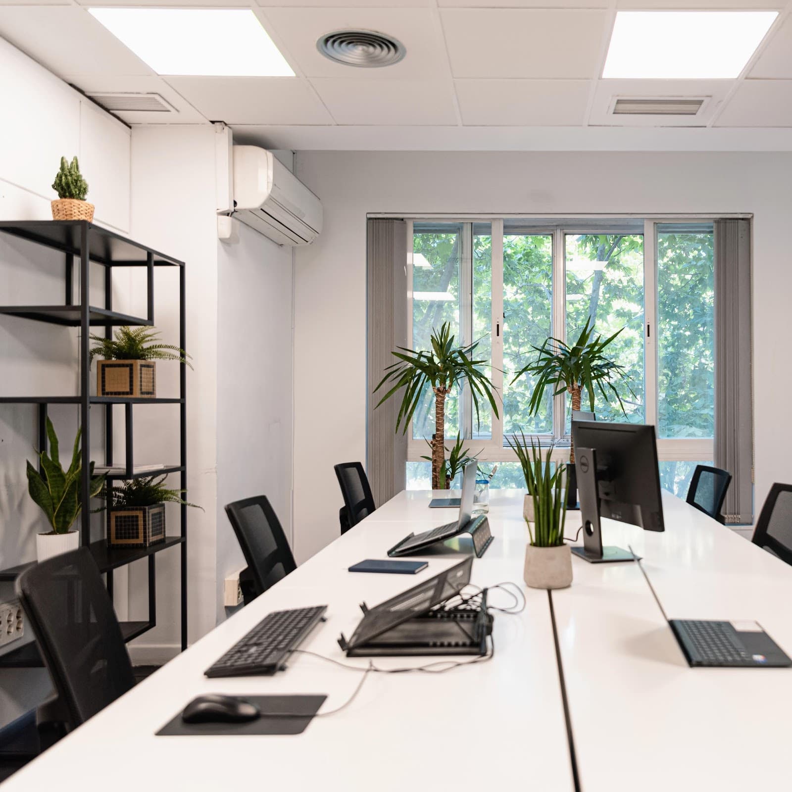 OXYGEN WORKSPACE Madrid Day Pass - Flexible Access & Networking in Central Madrid