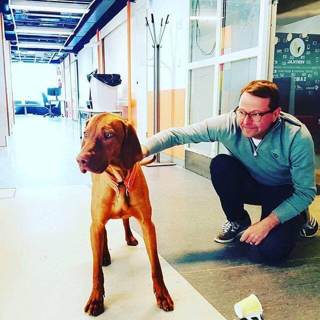 Maria 01 Helsinki Day Pass - Flexible Workspace & Networking Hub
