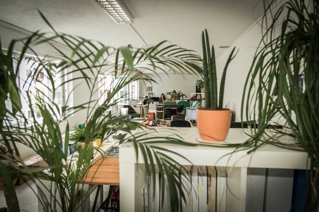 Spacelend Graz Day Pass - Flexible Workspace & Networking in City Center