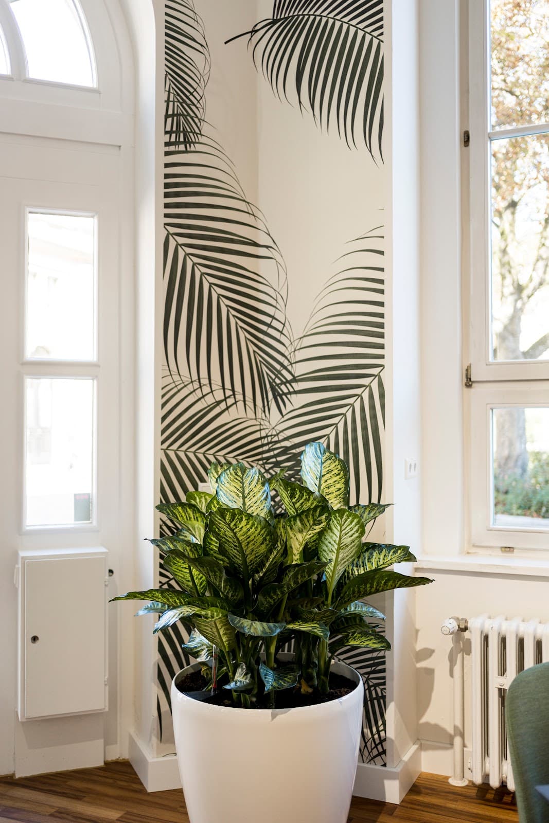 Flexible Day Pass at Goodspaces Opera with Lounge Access interior photo 3