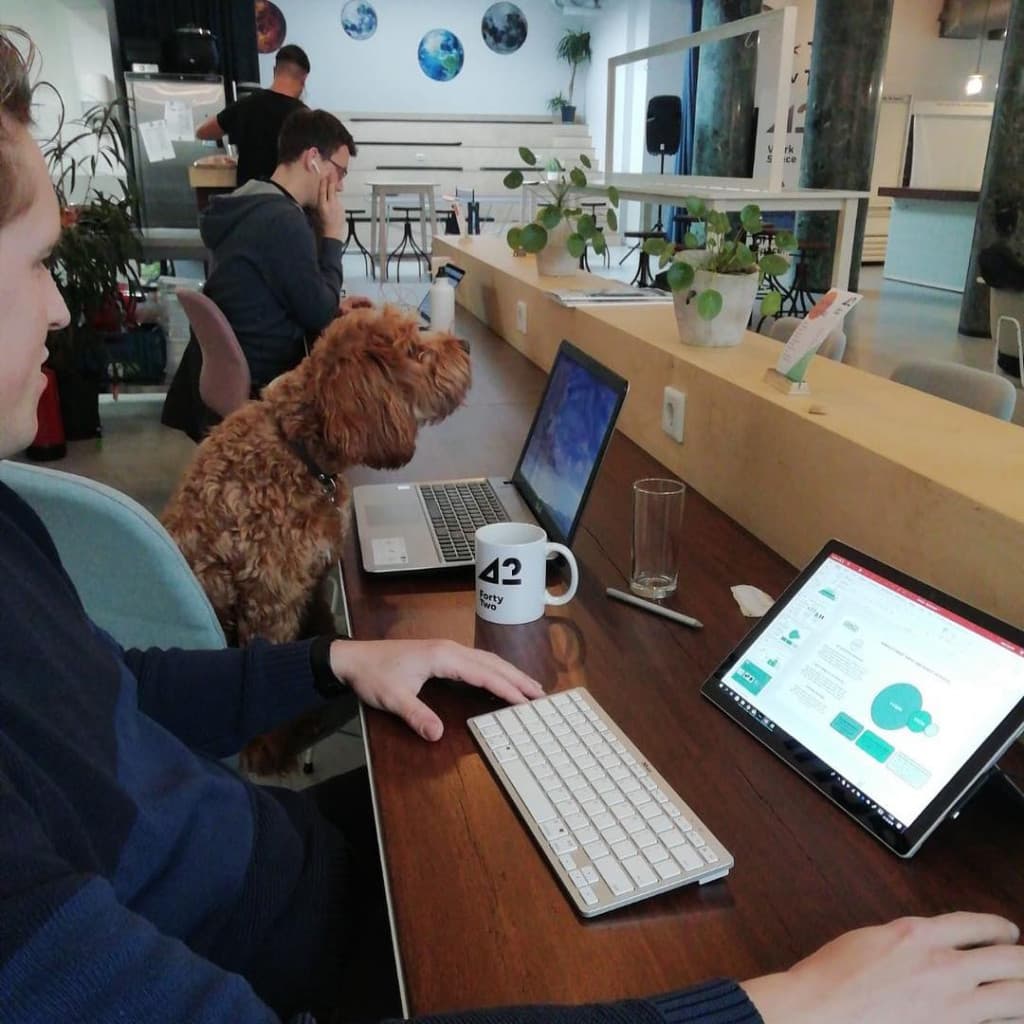 Rotterdam Day Pass at 42workspace – Flexible Access & Networking in City Center interior photo 7