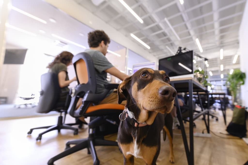 betahaus Sofia Day Pass - Flexible Workspace with 24/7 Access & Networking interior photo 7