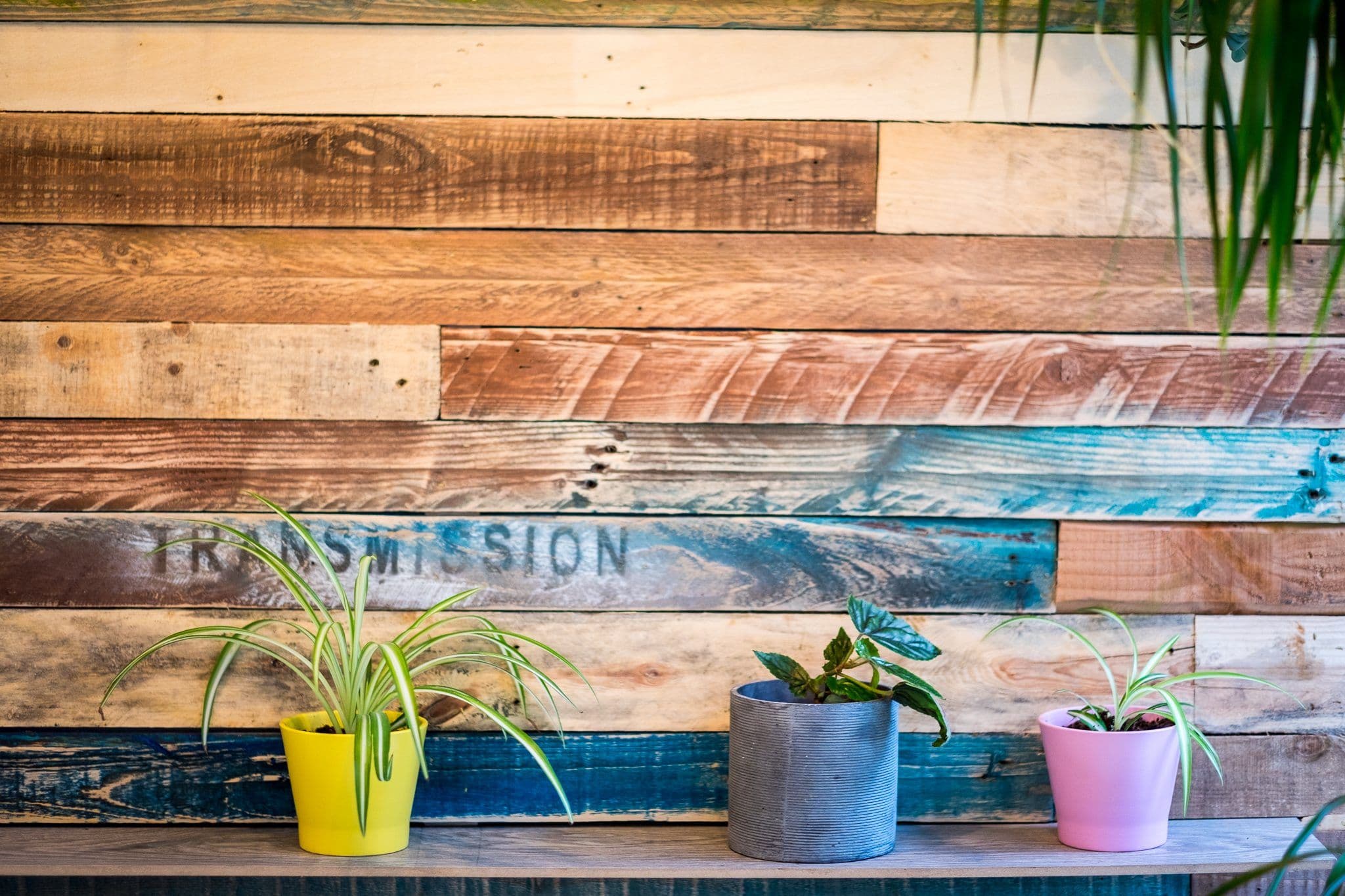 Dynamic Day Pass at transforma bxl with Wellness Perks interior photo 2