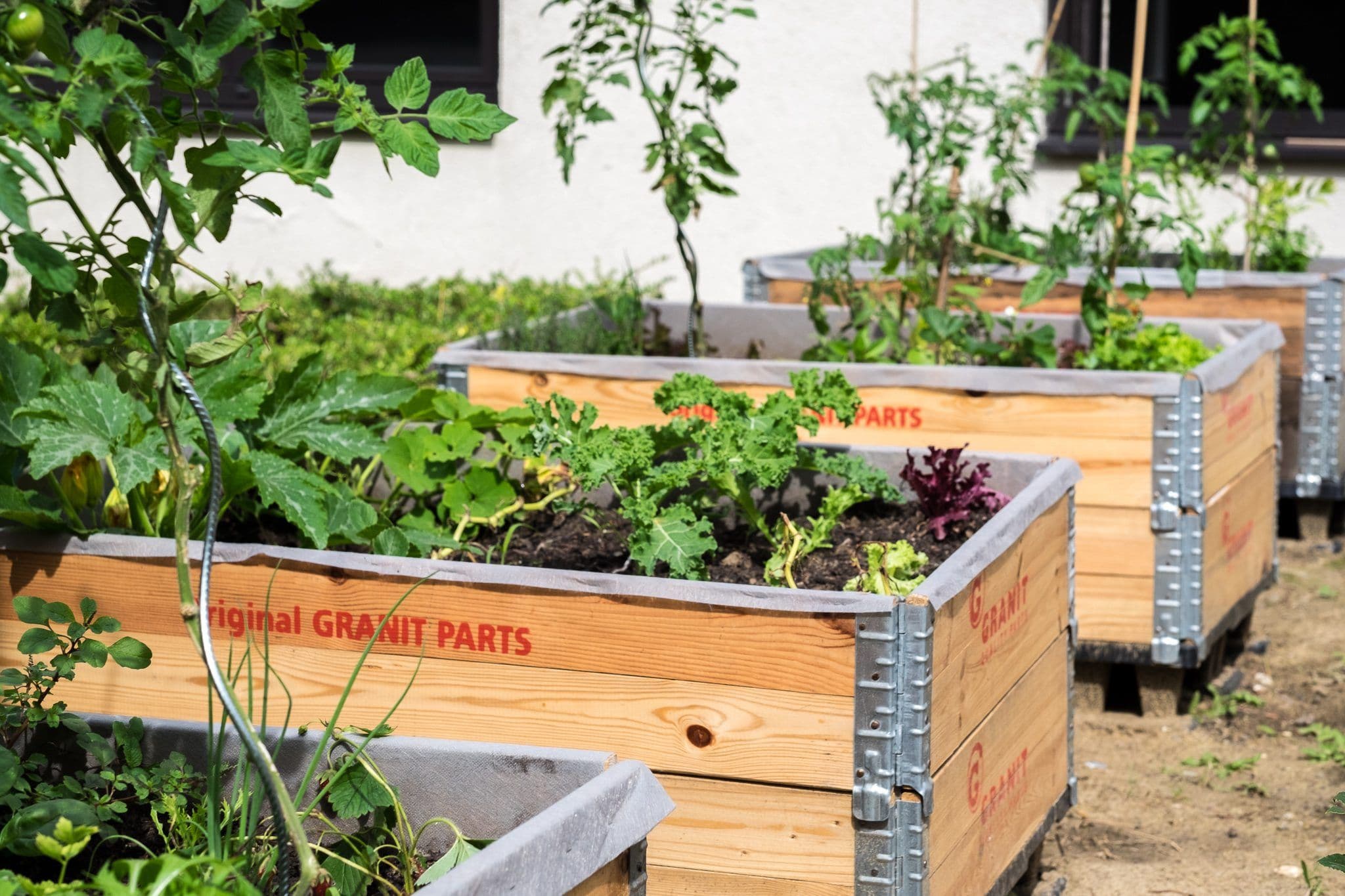 Dynamic Day Pass at transforma bxl with Wellness Perks interior photo 4