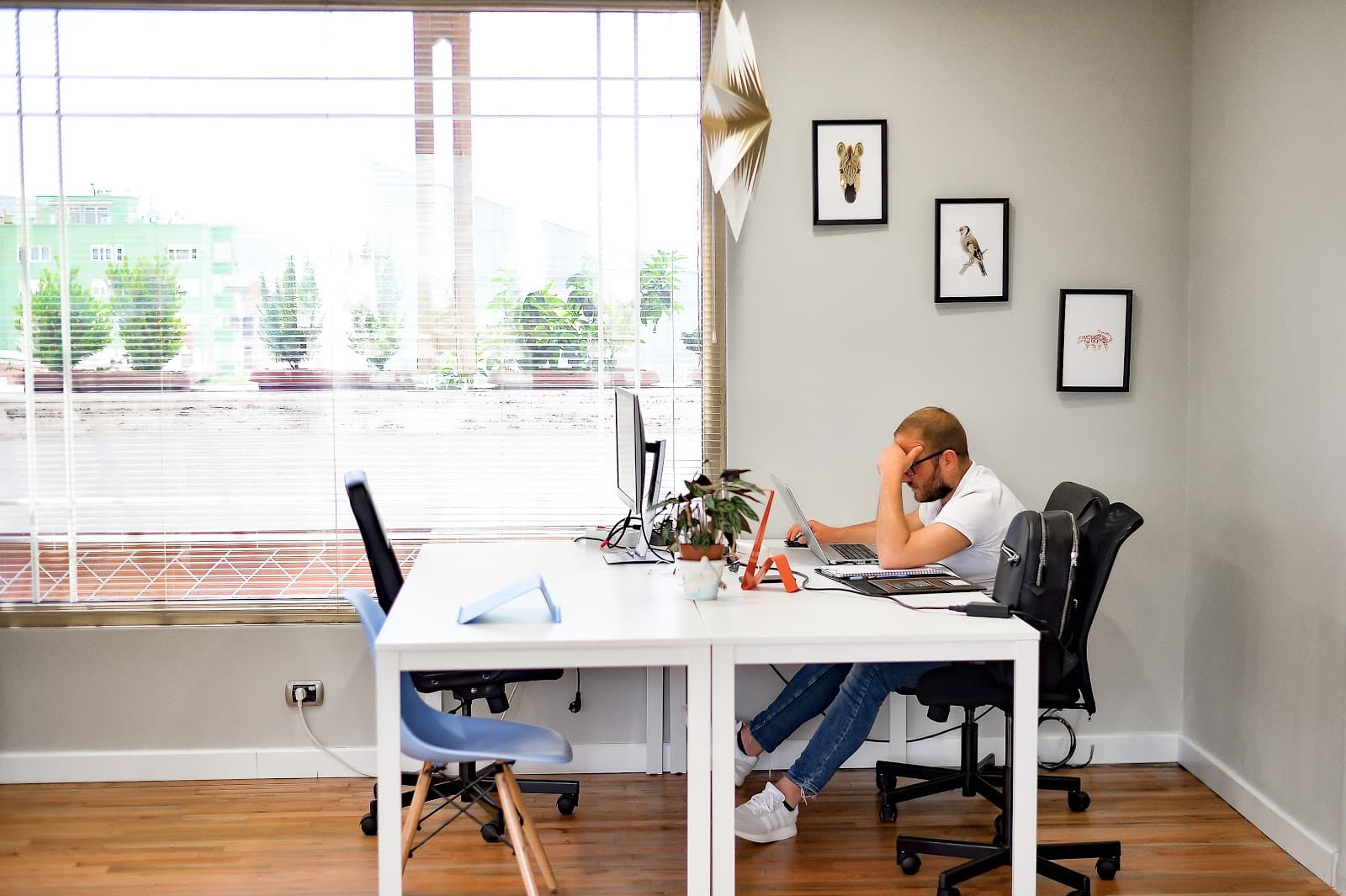 Flexible Day Pass Workspace with Natural Light at Innospace Tirana interior photo 6