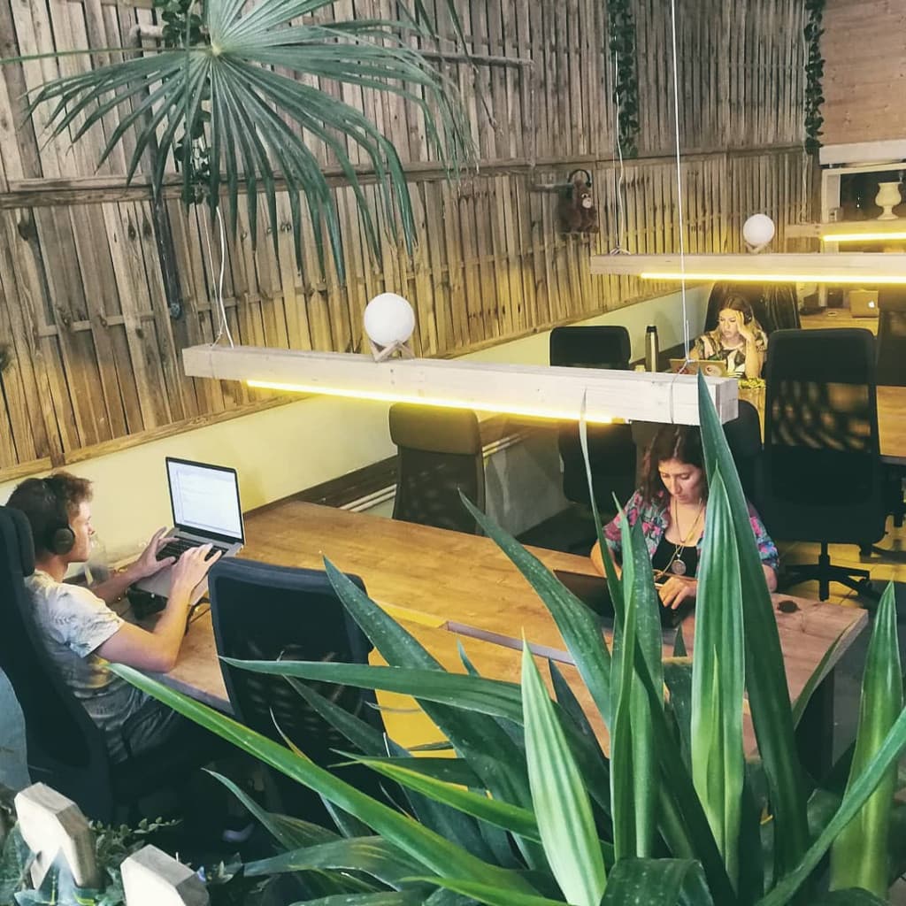 Day Pass at JUNGLE . coworking in Vibrant Barcelona interior photo 6