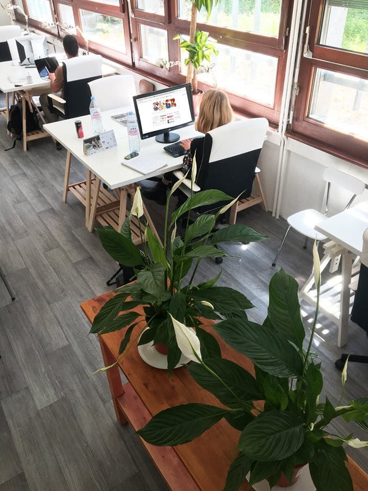 T19bis Lausanne Day Pass - Flexible Workspace & Networking in Central Lausanne interior photo 9