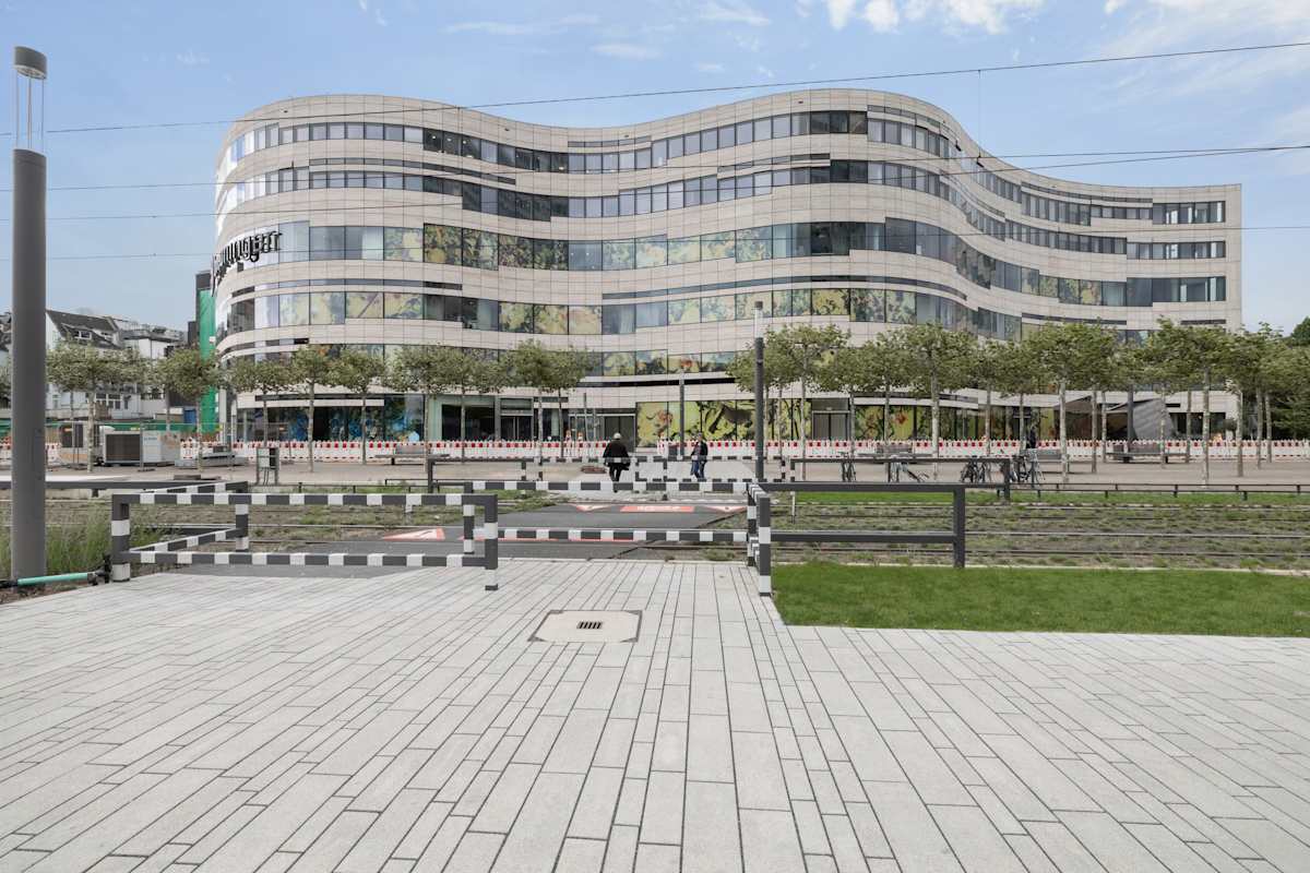 Regus Koe-Bogen