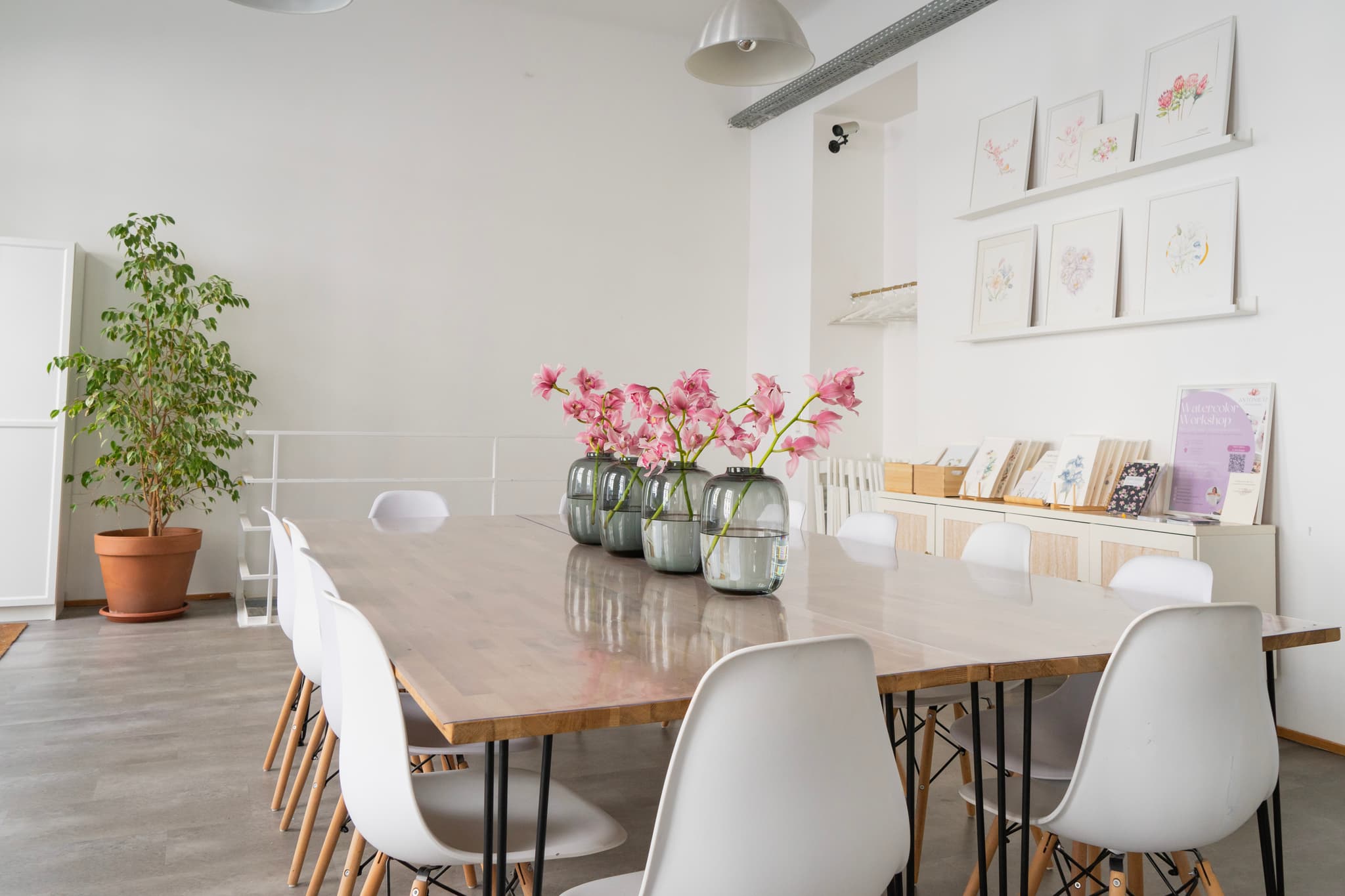 Atelier Antonieta