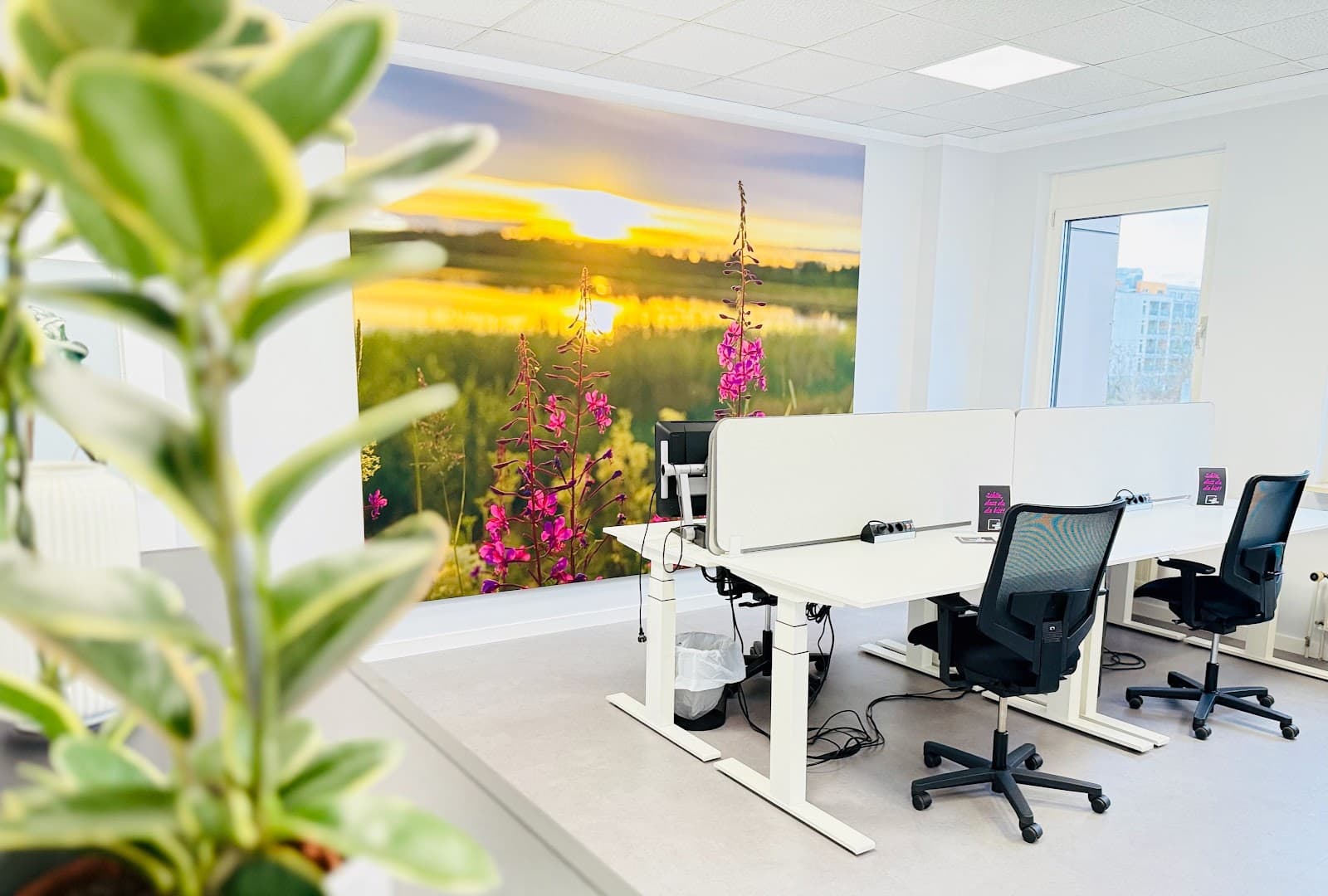 CK Workspace München-Moosach