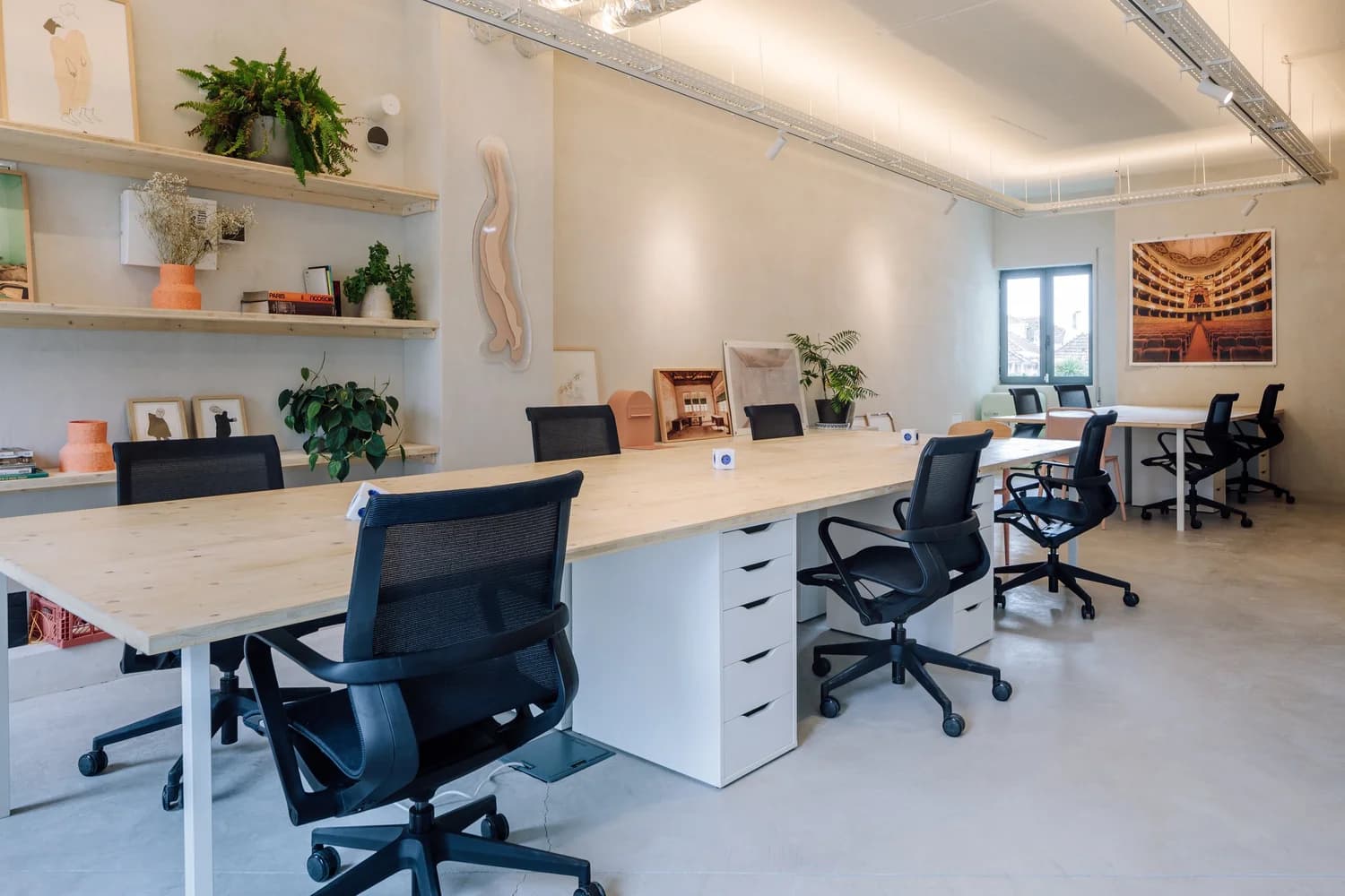 Jiboia Studio